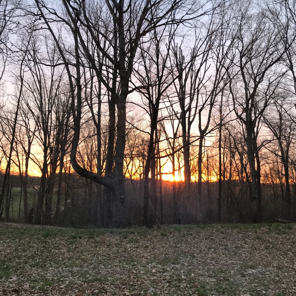 Meet your Posher, Deonne